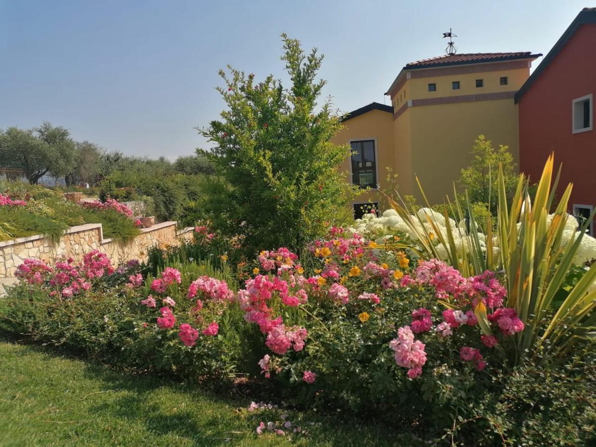 La Rondinella